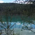 白金青い池の写真_143031