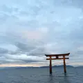 白鬚神社の写真_143039