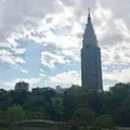 新宿御苑の写真_143161