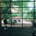 KINONの写真_143452