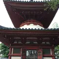 川越大師 喜多院の写真_143457