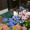 水と緑のふる里森の駅の写真_143867