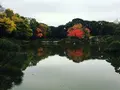 清澄庭園の写真_144152