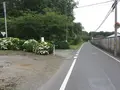 氷室あじさい坂の写真_144182