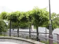 有岡城跡の写真_144469