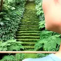 妙法寺（日蓮宗）の写真_144496