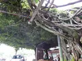 恵那峡さざなみ公園の写真_144642