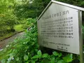 傘岩の写真_144644