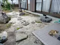 妙雲寺の写真_144688