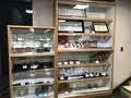 将棋会館の写真_144709