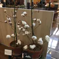 トヨタ産業技術記念館の写真_144915