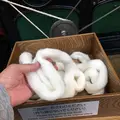 トヨタ産業技術記念館の写真_144930