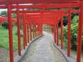 高山稲荷神社の写真_145004