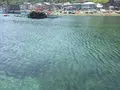 弁財天宮の写真_145078
