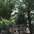 三芳野神社の写真_145168