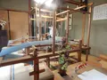 土佐家の写真_145236
