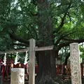鬼子母神堂の写真_145346