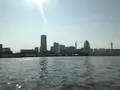シーバスの写真_145363