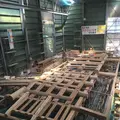 名古屋城の写真_145458