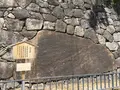 名古屋城の写真_145459