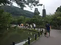 清水寺の写真_145481