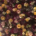 エッセンス カフェ （essence cafe）の写真_145599