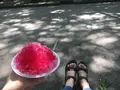 飛鳥山公園の写真_145634
