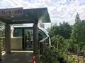 飛鳥山公園の写真_145635