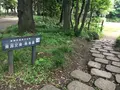 飛鳥山公園の写真_145638