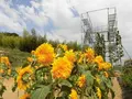 馬場の写真_145652