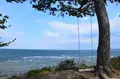 日間賀島の写真_145888
