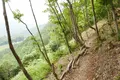 天空の遊歩道 岐阜のマチュピチュ ビュースポットの写真_145955