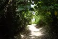 砂山ビーチの写真_146096
