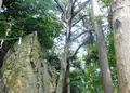 渭伊神社の写真_146208