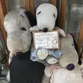 ラミ （L'Ami）の写真_146222