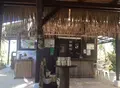 Pani Paniの写真_146238