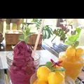 Pani Paniの写真_146239