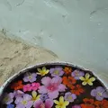 Pani Paniの写真_146240