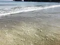 弓ヶ浜の写真_146573