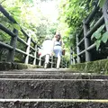 三原山の写真_146580