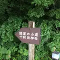 十和田神社の写真_146621