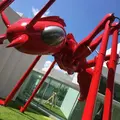 十和田市現代美術館の写真_146623