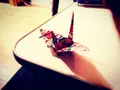 赤倉観光ホテルの写真_146713