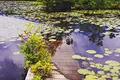 妙高高原（いもり池）の写真_146715