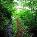 香澄の滝の写真_146718