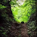 香澄の滝の写真_146719