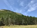 縞枯山荘の写真_146800
