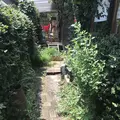 アンリロの写真_146962