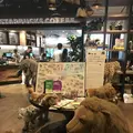 二子玉川 蔦屋家電の写真_147175