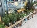 ガーデンズ・マルシェ 二子玉川店の写真_147222